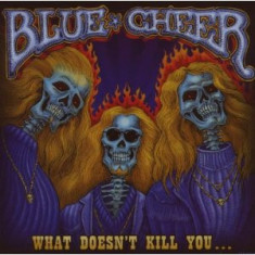 Blue Cheer What Doesnt Kill You (cd) foto