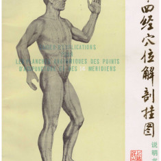 - Cahier d'explications pour les planches anatomiques des points d-acupuncture et des 14 meridiens - 131025