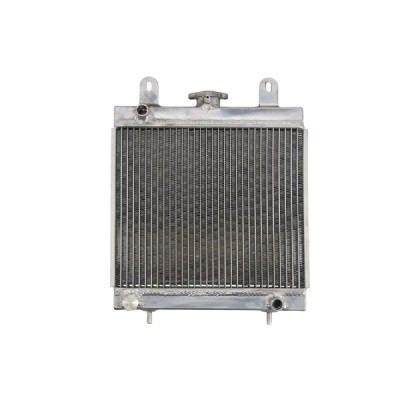 RADIATOR POLARIS SCRAMBLER XPLORER 400/500 2001 2009 foto