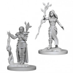 Set Figurine Dungeons And Dragons Nolzur S Unpainted Human Female Druid foto