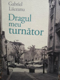 Gabriel Liiceanu - Dragul meu turnator (2013), Humanitas