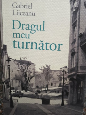 Gabriel Liiceanu - Dragul meu turnator (2013) foto