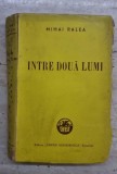 INTRE DOUA LUMI - MIHAI RALEA