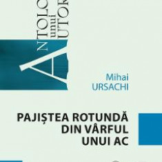 Pajistea rotunda din varful unui ac - Mihai Ursachi