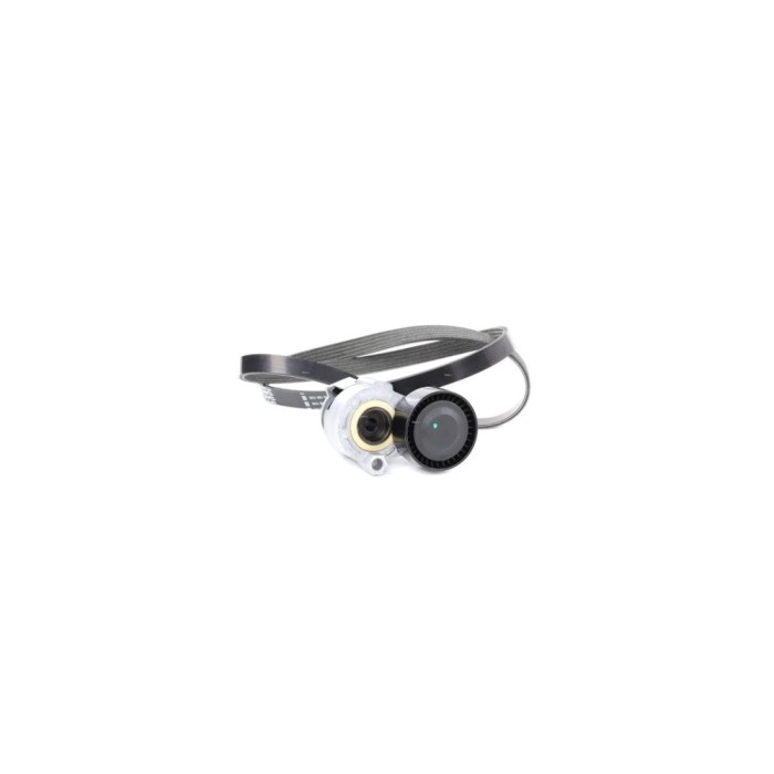 Set Curea transmisie RENAULT KANGOO KC0 1 CONTITECH 5PK1135K1