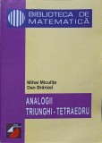 ANALOGII TRIUNGHI - TETRAEDRU-MIHAI MICULITA, DAN BRANZEI-257500