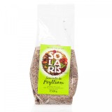 Seminte de psyllium 100g solaris