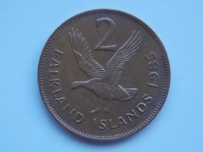 2 PENCE 1985 FALKLAND foto