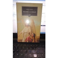 Ingerul a strigat - Fanus Neagu