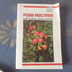 Pomii fructiferi, A.Chira L.Chira Fl. Mateescu