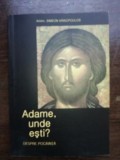 Adame, unde esti?- Arhimandrit Simeon