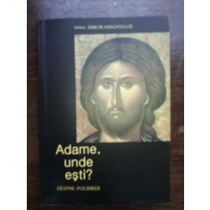 Adame, unde esti?- Arhimandrit Simeon