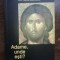 Adame, unde esti?- Arhimandrit Simeon