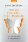 Puterea sentimentelor - Legea atractiei - Lynn Grabhorn - Carte Dezvoltare personala - Brosata