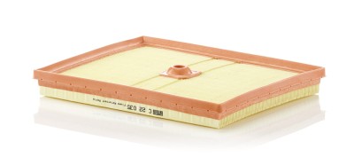 MANN-FILTER C 22 035 Filtru aer foto
