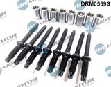 Surub, Suport Injector 307915 DRM0559S