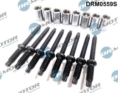 Surub, Suport Injector 307915 DRM0559S foto