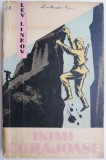 Inimi Curajoase - Lev Linkov - Roman Beletristica