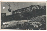 AMS - ILUSTRATA 1312, MUNTII BUCEGI, ANUL 1949, cu perforari