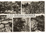 CPI B13634 CARTE POSTALA - CLUJ - GRADINA BOTANICA 7990