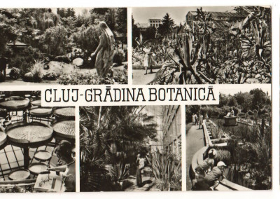 CPI B13634 CARTE POSTALA - CLUJ - GRADINA BOTANICA foto