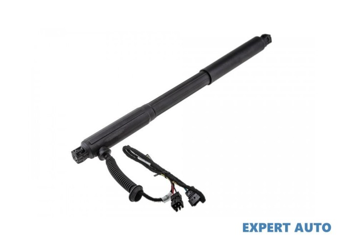 Telescop haion BMW X5 (2007-&gt;) [E70] #1