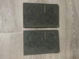Set 2 cărți vechi de colecție (1880) - J. I. Kraszewski, limba germană (scris gotic)