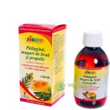 Sirop de Patlagina, Muguri de Brad si Propolis 200ml