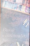 Buna Dimineata, Baieti! - Grigore Bajenaru - Roman - Editura Rolcris - 2025 - 189 Pagini