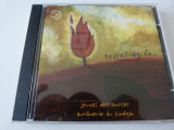 Terres de feu, y, CD, Pop