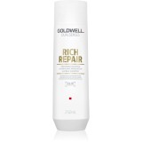 Goldwell Dualsenses Rich Repair șampon regenerator pentru păr uscat și deteriorat 250 ml