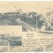 2621 - TEIUS, Railway, SYNAGOGUE, Litho, Romania - old postcard - used - 1901