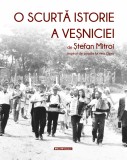 Cumpara ieftin O scurta istorie a vesniciei - Stefan Mitroi