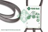 INA FB 6PK995 Curea transmisie cu caneluri
