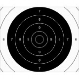 Set 100 Tinte Airsoft TS-2 PSP ISSF Centru 25x20cm