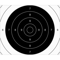 Set 100 Tinte Airsoft TS-2 PSP ISSF Centru 25x20cm