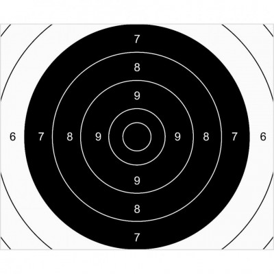 Set 100 Tinte Airsoft TS-2 PSP ISSF Centru 25x20cm foto