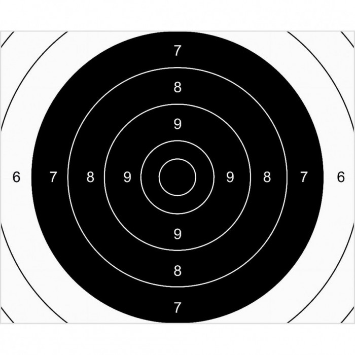 Set 100 Tinte Airsoft TS-2 PSP ISSF Centru 25x20cm