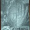 ZVERA ION - ACETONA (VERSURI, 2005) [coperta si primele 25 de file cu indoituri]