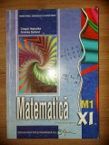 Matematica. Manual pentru clasa a 11-a M1 - Csapo Hajnalka, Andras Szilard