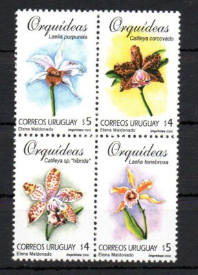 URUGUAY 2000 FLORI ORHIDEE foto