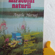 Miracolul naturii Angela Harnaj