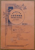 Cumpara ieftin Meniu , Gradina Luzana , 1934 , semnat , Rosenthal , Stelian Popescu , C. Mille