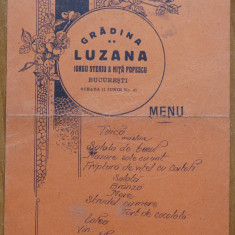 Meniu , Gradina Luzana , 1934 , semnat , Rosenthal , Stelian Popescu , C. Mille