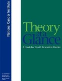 Theory at a Glance: A Guide for Health Promotion Practice