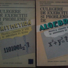 Petruta GAZDARU-Culegere de exercitii si probleme aritmetica si algebra V-VIII