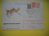 HOPCT PLIC S NR 960 FAUNA / ANTILOPE - RUSIA -CIRCULAT