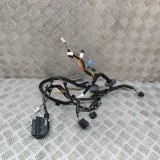 Cablaj ușă dreapta față ASTON MARTIN DB11 2022 OEM: KY53-14631-CB 25908828