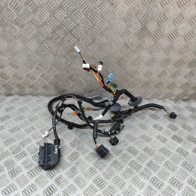 Cablaj ușă dreapta față ASTON MARTIN DB11 2022 OEM: KY53-14631-CB 25908828 foto