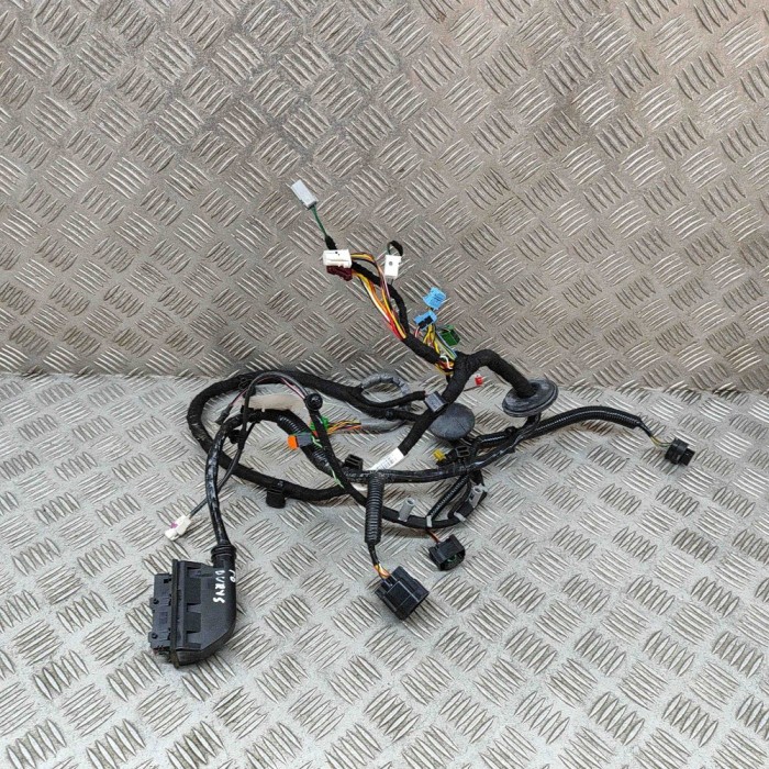 Cablaj ușă dreapta față ASTON MARTIN DB11 2022 OEM: KY53-14631-CB 25908828